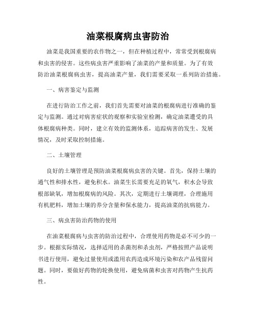 油菜根腐病虫害防治