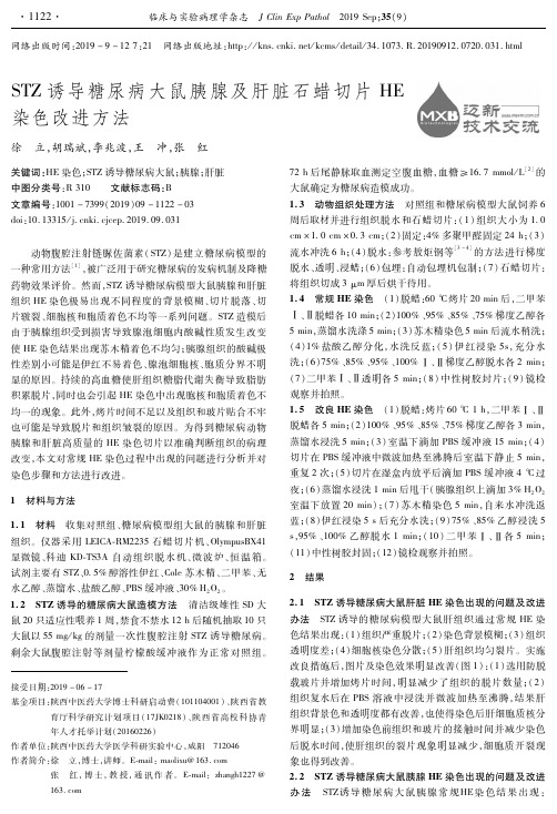 STZ诱导糖尿病大鼠胰腺及肝脏石蜡切片HE染色改进方法