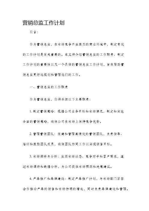 营销总监工作计划