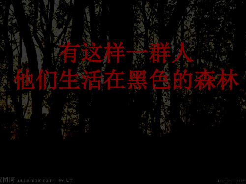 狼图腾ppt课件
