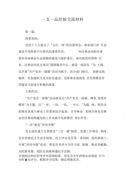 一支一品经验交流材料