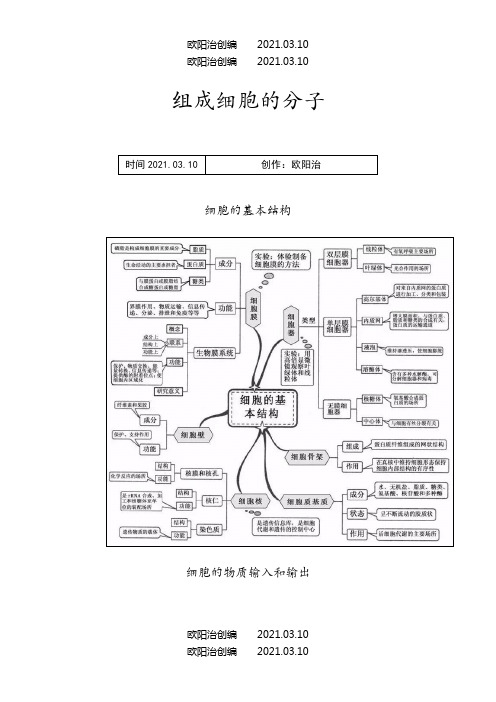 高中生物20张思维导图(可直接打印)之欧阳法创编