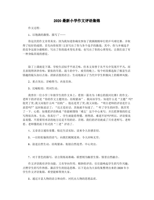 2020最新小学作文评语集锦