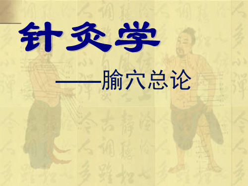 腧穴总论