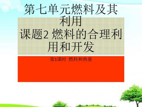 【初中课件】人教版化学九年级上册第七单元课题2《燃料的合理利用与开发》第1课时课件.ppt