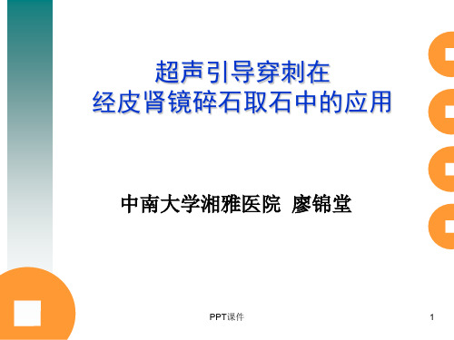 超声引导穿刺在经皮肾镜取石中作用  ppt课件