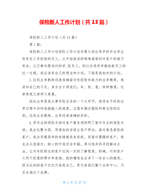 保险新人工作计划(共13篇)