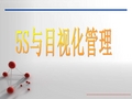 5s三定目视化
