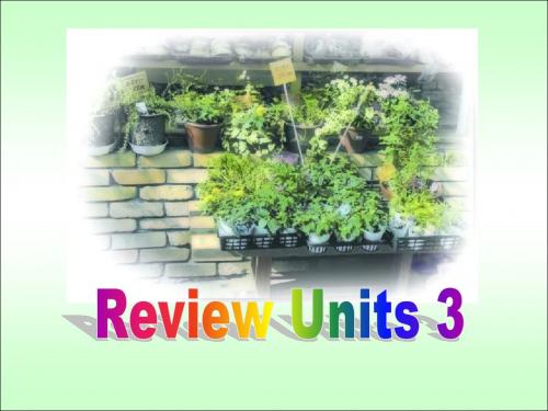 人教版八年级英语上Unit_3-Unit_4复习课件