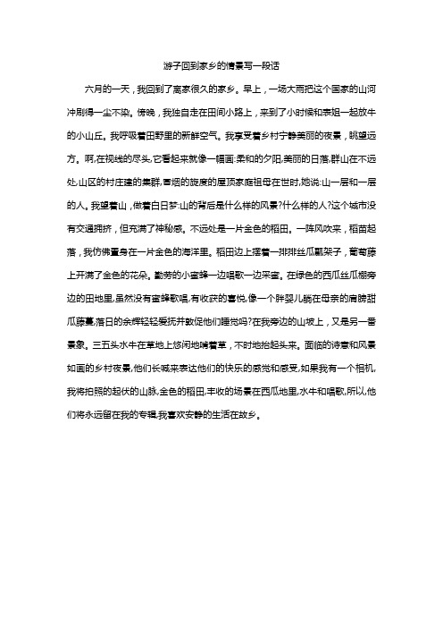 游子回到家乡的情景写一段话