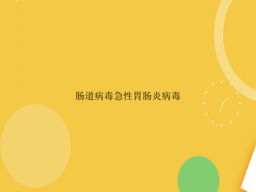 肠道病毒急性胃肠炎病毒.完整PPT资料