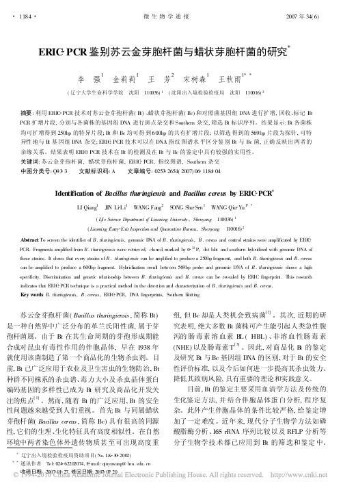 ERIC_PCR鉴别苏云金芽胞杆菌与蜡状芽胞杆菌的研究