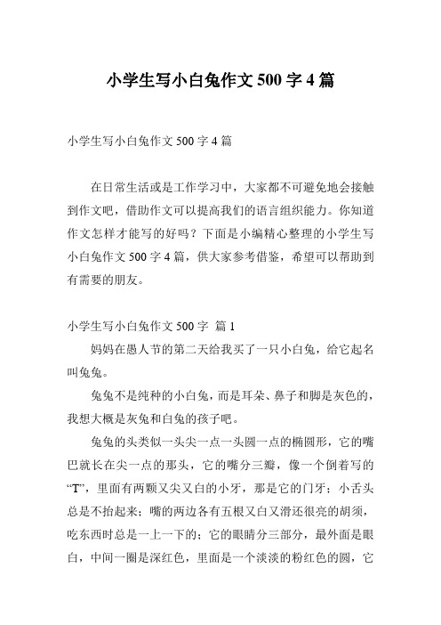 小学生写小白兔作文500字4篇