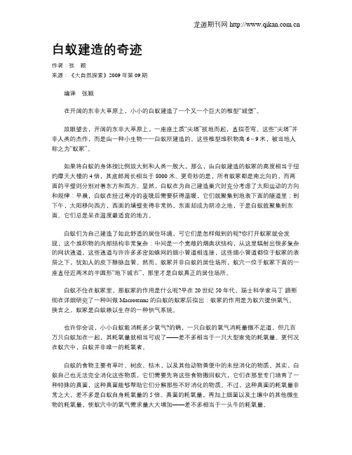 白蚁建造的奇迹