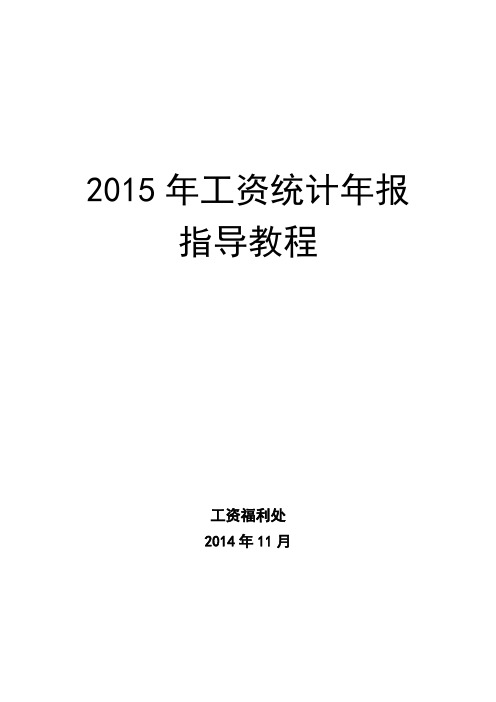 统计年报指导教程