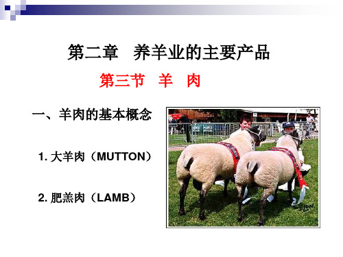 第二章：羊肉资料.