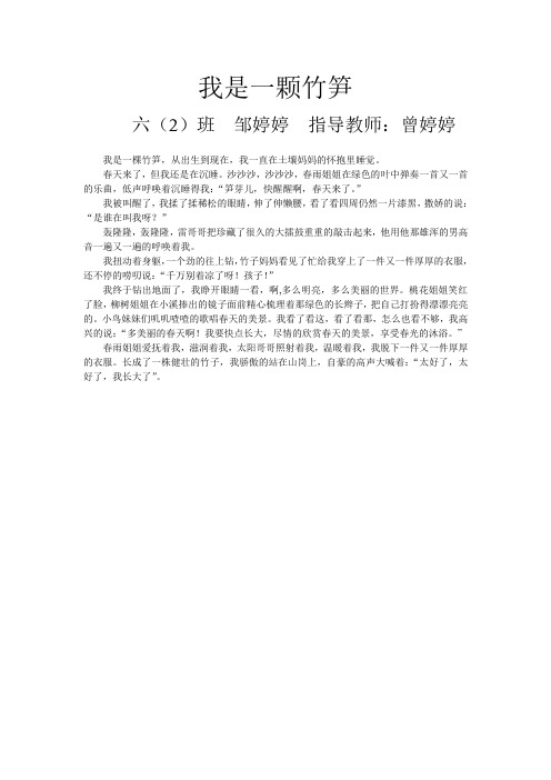 我是一颗竹笋