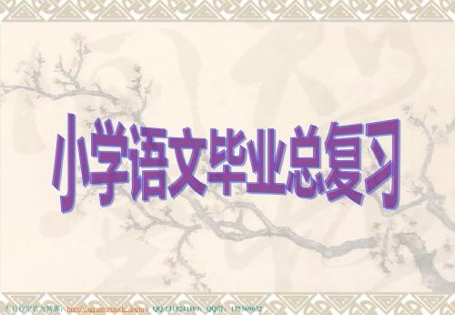 【语文课件】小学语文毕业总复习ppt课件