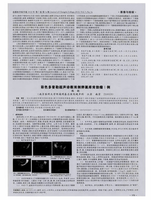 彩色多普勒超声诊断双侧卵巢库肯勃瘤1例