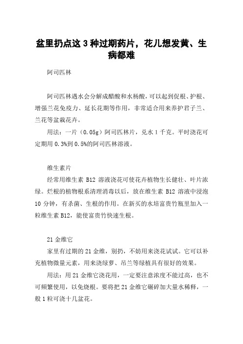 盆里扔点这3种过期药片,花儿想发黄、生病都难