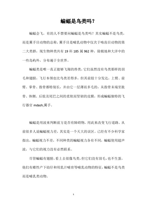蝙蝠是鸟类吗？