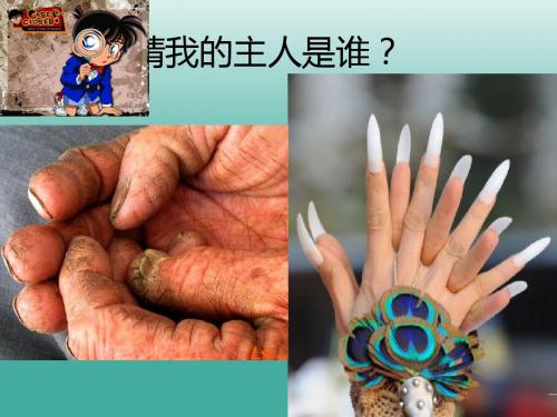 九年级语文上册一双手课件 苏教版