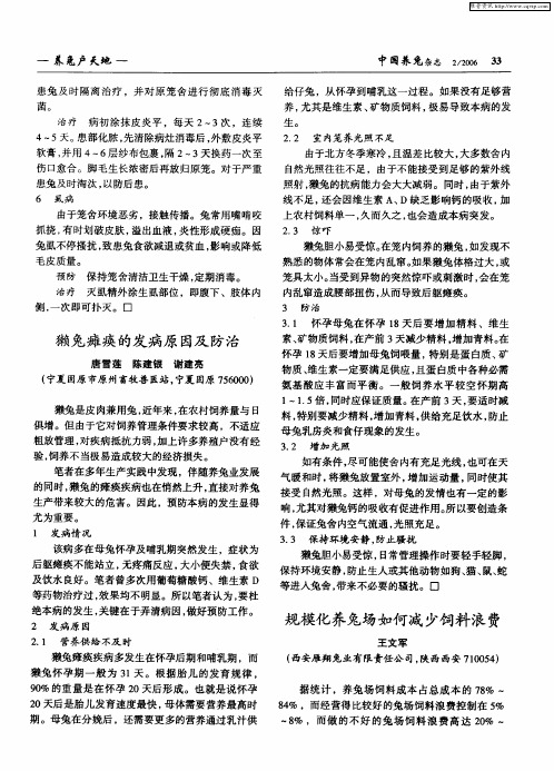 规模化养兔场如何减少饲料浪费