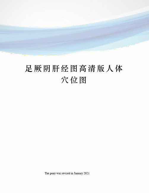 足厥阴肝经图高清版人体穴位图