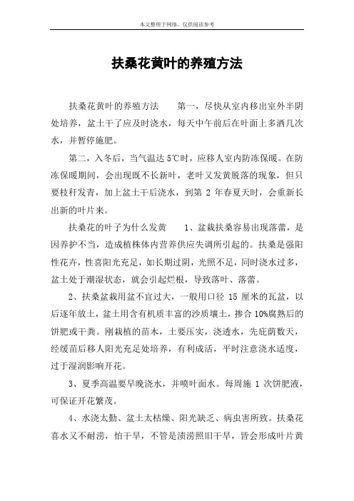 扶桑花黄叶的养殖方法