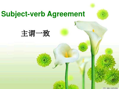 精选高中3Unit3Grammar and usage(共26张PPT)公开PPT课件