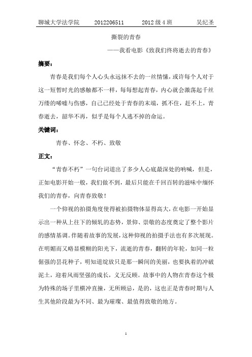 撕裂的青春——《致青春》