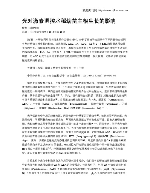 光对激素调控水稻幼苗主根生长的影响