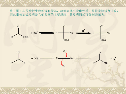 亲核加成反应分析