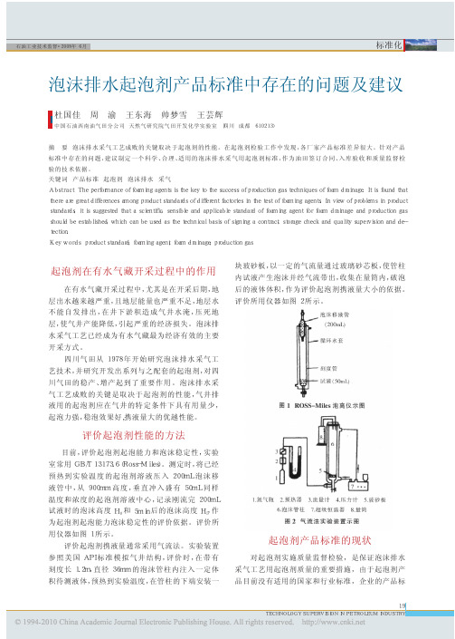 泡沫排水起泡剂产品标准中存在的问题及建议[1]