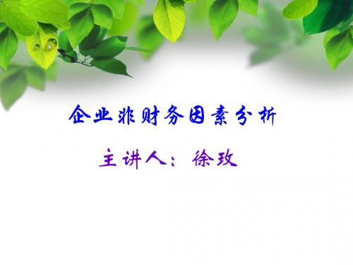 非财务因素分析(徐玫)