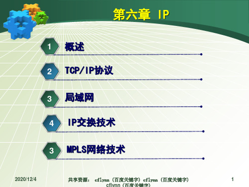 第06章 IP交换与局域网交换PPT课件