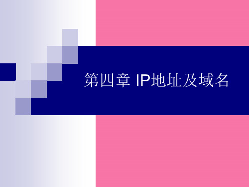 IP地址及域名ppt课件