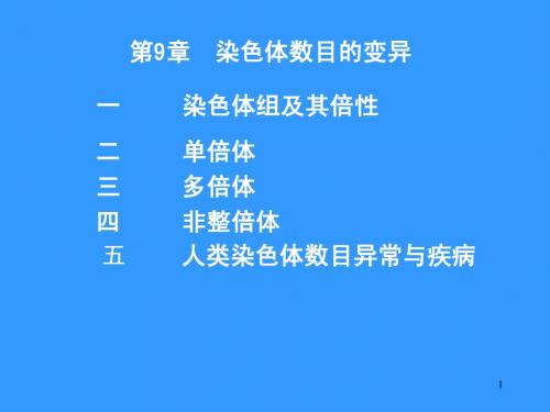 第9章  染色体的数量变异