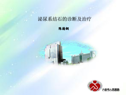 泌尿系结石的诊断及治疗 PPT