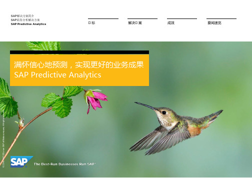 SAP Predictive Analytics中文白皮书