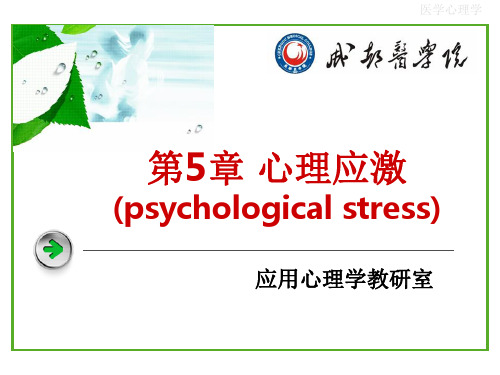 第5章 心理应激