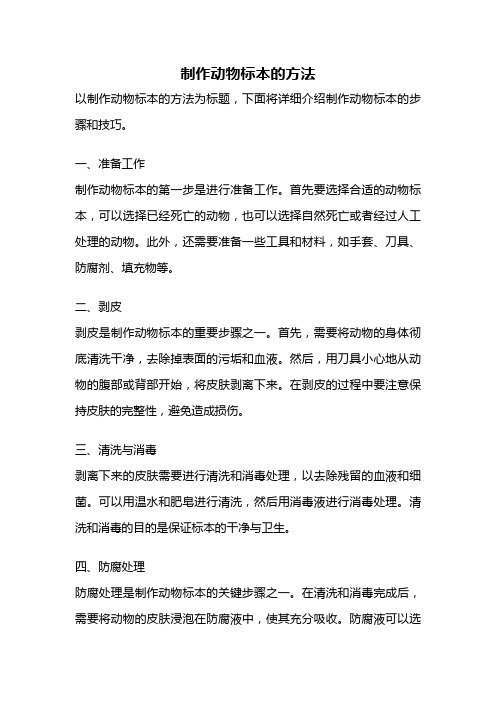 制作动物标本的方法