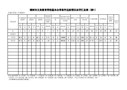 中洲初中 樟树市义务教育学校基本办学条件达标情况自查自评表