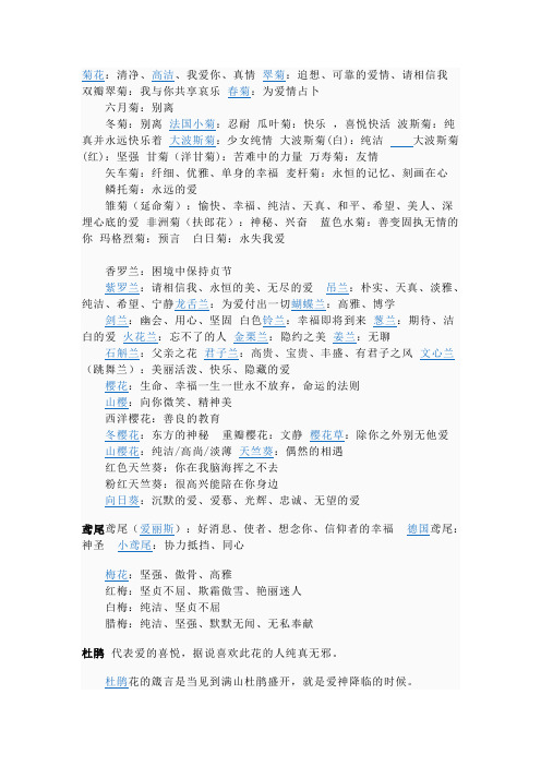 菊花