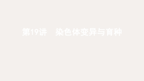 (北京)高考生物总复习 第19讲 染色体变异与育种课件