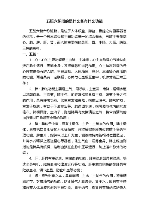 五脏六腑指的是什么各有什么功能