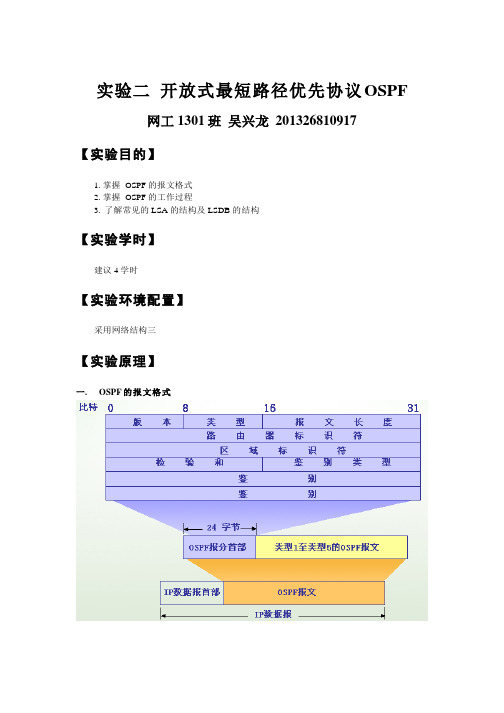 实验二  开放式最短路径优先协议OSPF