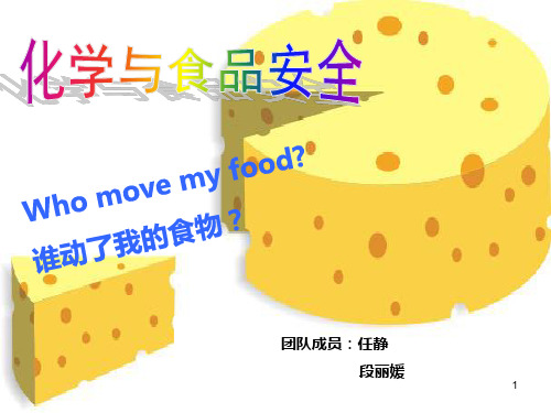 化学与食品安全完整PPT课件