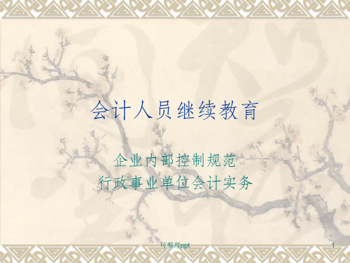 《会计人员继续教育》PPT课件