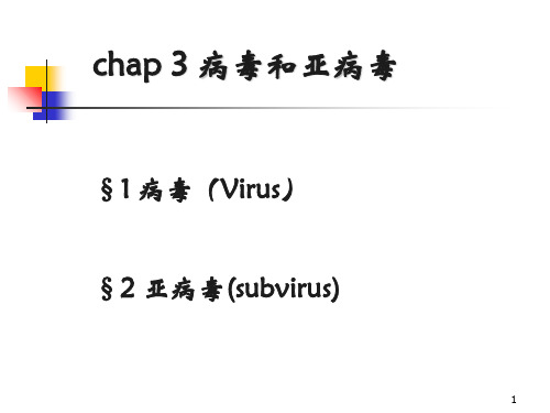(推荐)《非细胞型生物》PPT课件